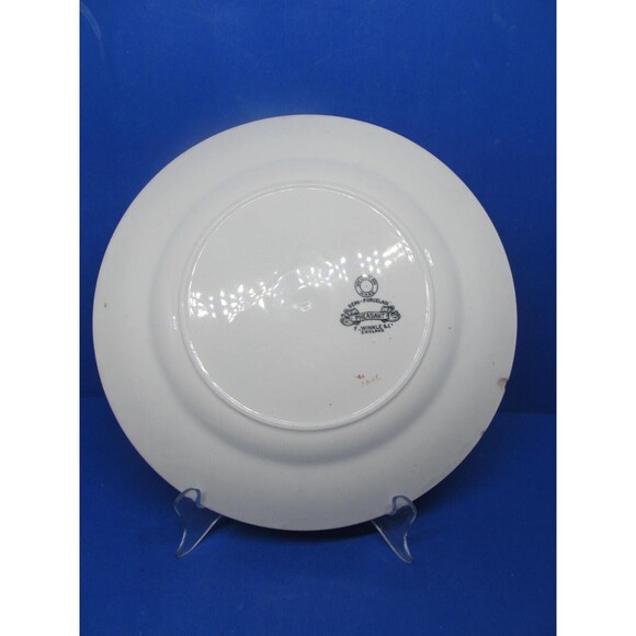 F. Winkle & Co. Wheildon Ware Pheasant Pattern Antique 10 1/2" Dinner Plate READ - Picture 3 of 7